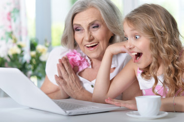 Obraz na płótnie Canvas grandmother and granddaughter doing homework 