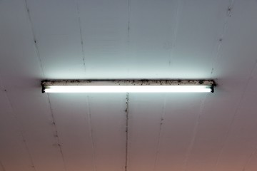 Fluorescent light bulb on the ceiling