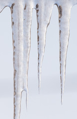Icicles from the roof of the house