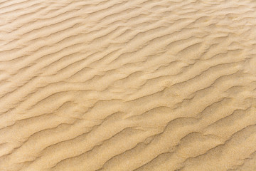 Fototapeta na wymiar closeup of sand pattern of a beach in the summer