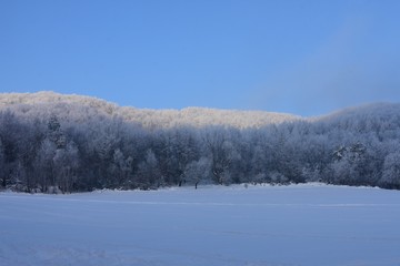 scenery of snow covered landscapes
