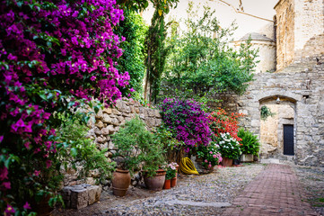 The yard with many flowers in the ancient town of Ventimiglia. Italy.