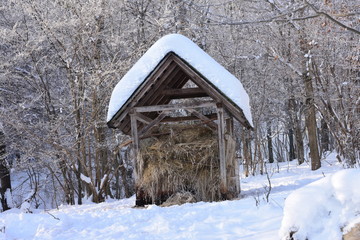 Fodder rack with hay for deer in winter