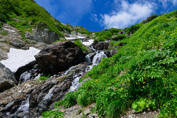 長野　北アルプス　白馬大雪渓