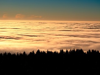 In winter mountains. Peaks of  mountains above creamy mist.