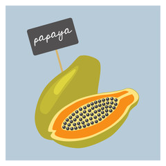 Vector Fruit - Papaya - 135587027