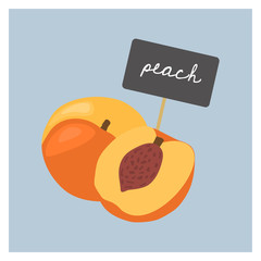 Vector Fruit - Peach - 135587053