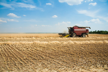 Combine harvesters in a field of wheat