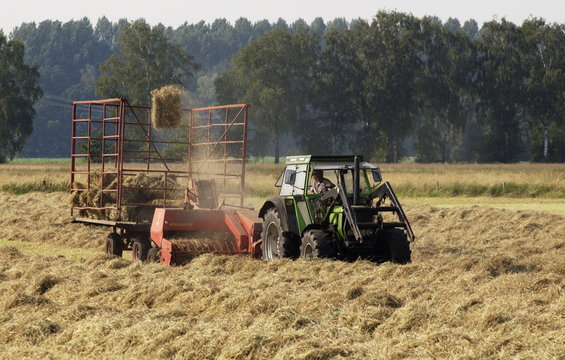  Heuerente. Ein Bauer arbeitet auf dem Feld.