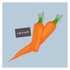 Vector Vegetable - Carrot