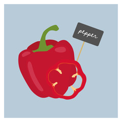 Vector Vegetable - Red Pepper - 135588283