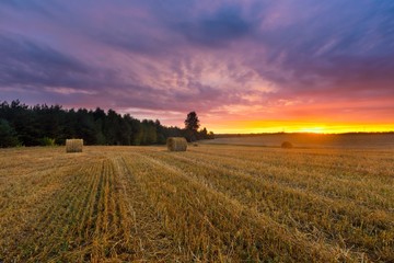 Fototapeta premium Beautiful sunset sky over stubble field and straw bales