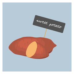 Vector Vegetable - Sweet Potato - 135588678