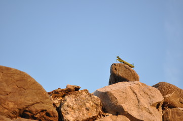 Autumn colors between villages and vineyards
