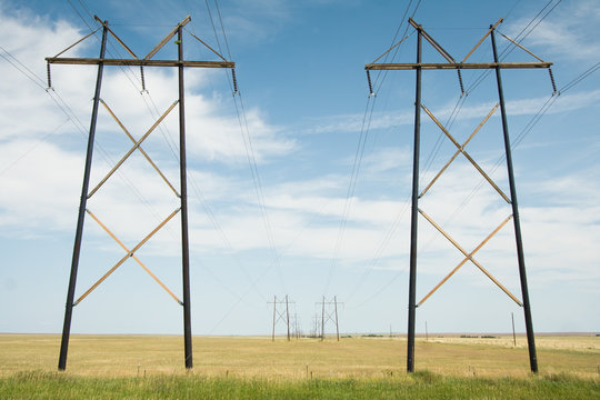 Electricity Pylons In Field 