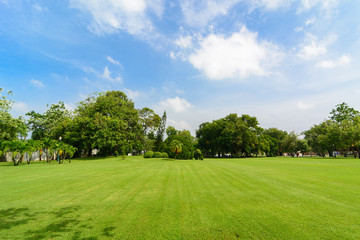Sunny weather on green lawn and with blue sky on the background