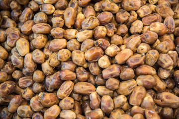 Date palm background.