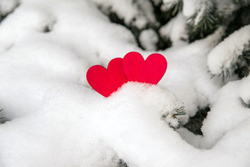 Fototapeta premium Two red hearts lie on the snow-covered fir branches 