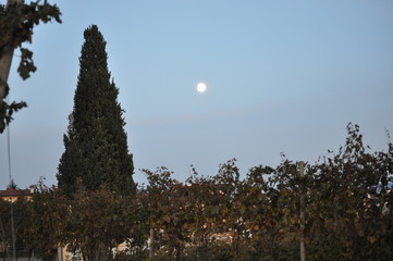 Autumn colors between villages and vineyards