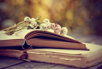 Bouquet of a clover lies on books.