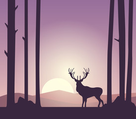 Beautiful nature. Deer, trees, mountains. Sunrise