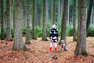 Frau und Hund machen einen Spaziergang im Wald