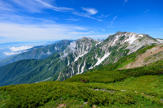 Die 317 Besten Bilder Stock Fotos Und Vektorgrafiken Zu 白馬連山高山植物帯 Adobe Stock