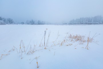 Winter foggy landscape in polish countryside