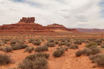 Scenic Landscape of the Valley of the Gods Utah