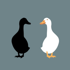 duck vector illustration style Flat silhouette