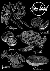Vector illustration, design for a seafood restaurant menu.