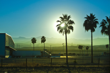 truck unloading and palms in a sunset california landscape.