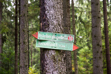 Way signs on a tree in the bavarian forest