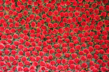 Red roses wallpaper
