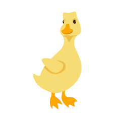 duckling vector illustration style Flat