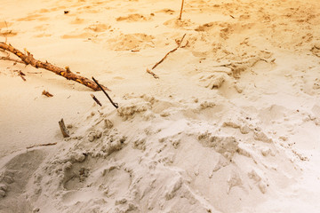sand texture pattern beach sandy background