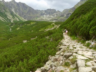 Górski kamienisty szlak w Tatrach