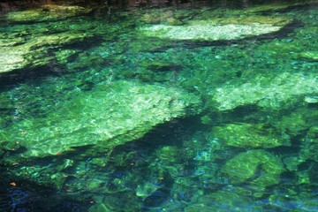 Clear water pool with rocks
