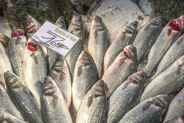 Loup de Mer auf dem Fischmarkt