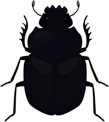 Scarab icon. Simple illustration of 