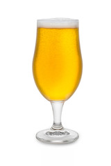  Full Belgium Ale #3