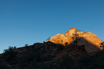 Fototapeta premium Sunrise at Zion National Park