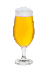 Full Belgium Ale with Condensation