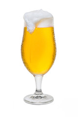 Full Belgium Ale with Condensation, Foam Head, Drip, and Run