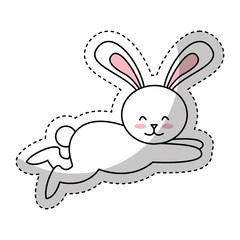 cute rabbit isolated icon vector illustration design