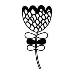 flower decorative isolated icon vector illustration design