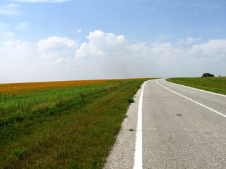Asphalt road in the fields
