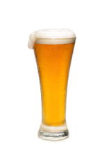 Beer In a Pilsner Glass with foam Top