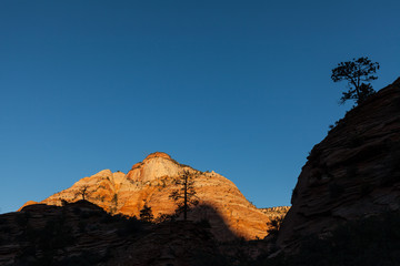 Fototapeta premium Sunrise at Zion National Park Utah