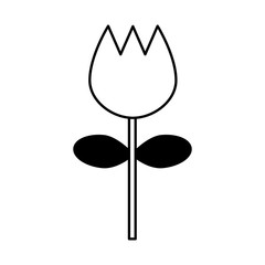 flower decorative isolated icon vector illustration design
